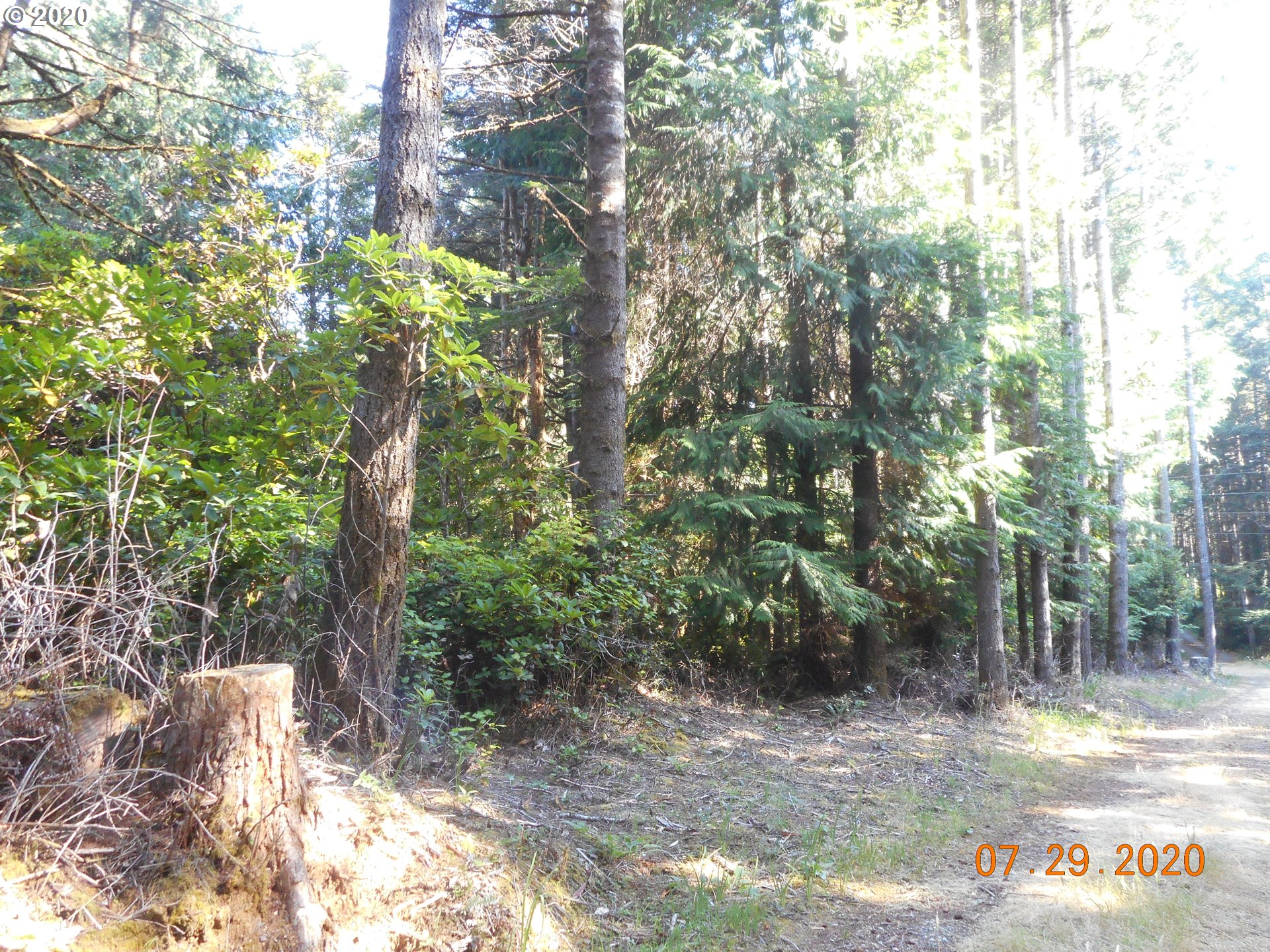 Cemetery Loop Road Port Orford, OR 97465 - Photo 11 of 18 Gallery Image 11