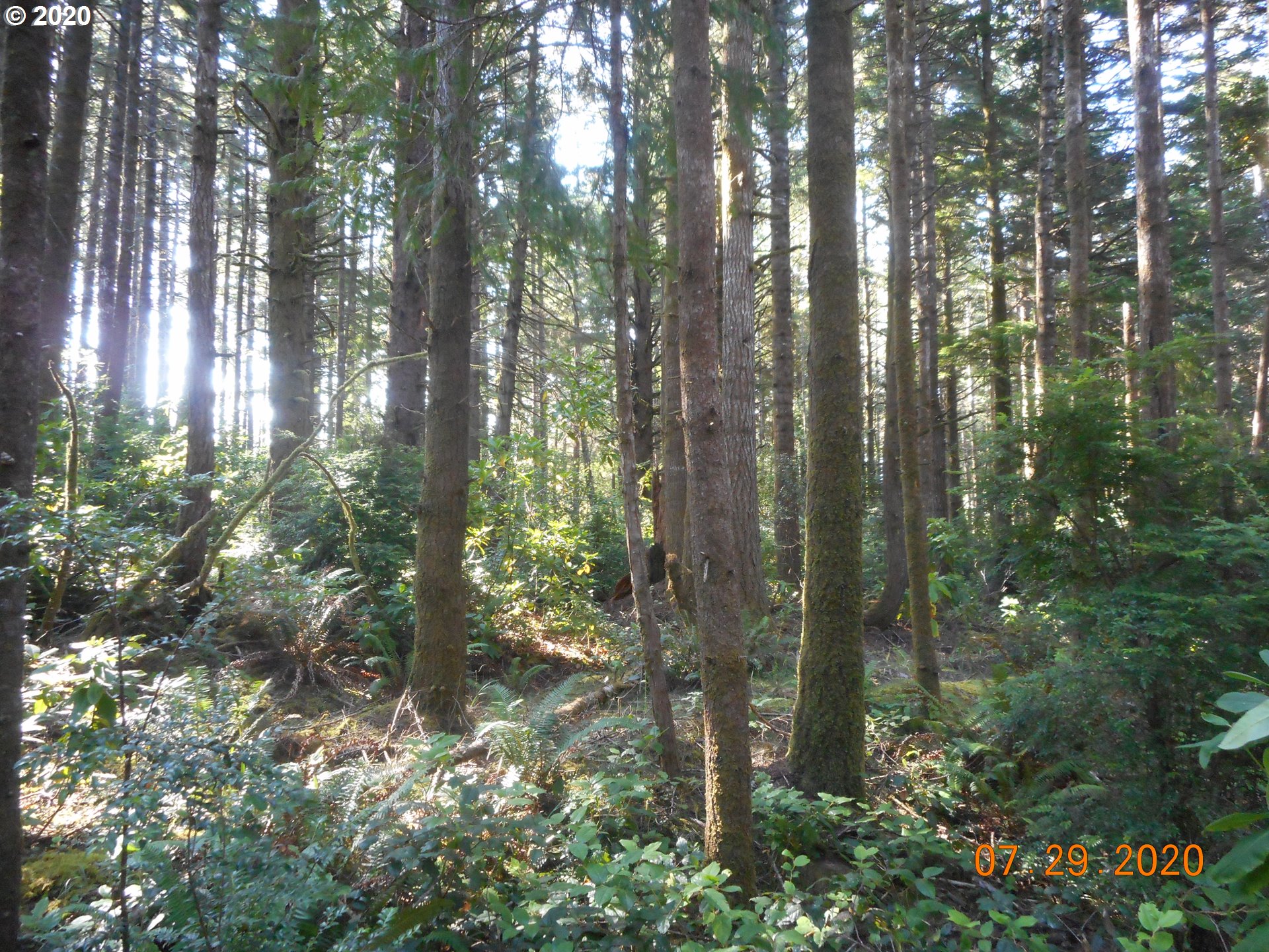 Cemetery Loop Road Port Orford, OR 97465 - Photo 3 of 18 Gallery Image 3