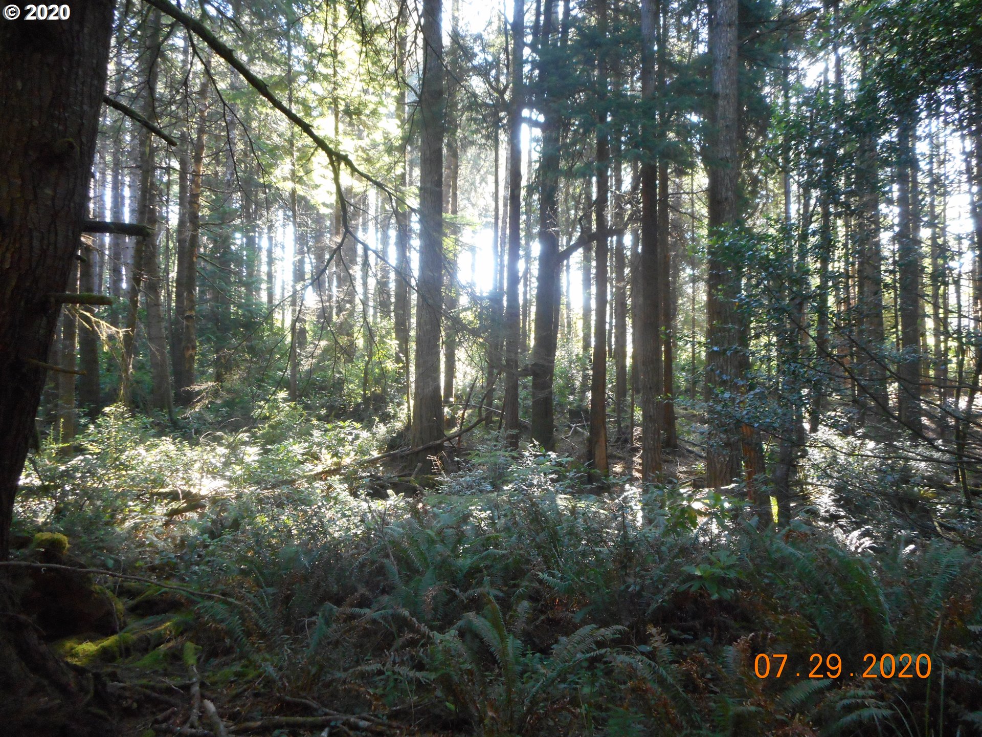 Cemetery Loop Road Port Orford, OR 97465 - Photo 7 of 18 Gallery Image 7