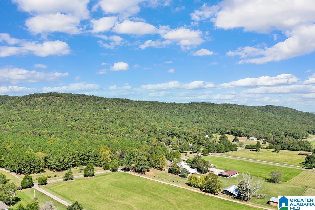 133 Durham Drive Springville, AL 35146 - Photo 42 of 44