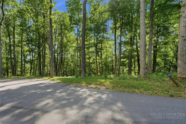 $275,000 | Lot 46 Poplar Forest Drive, Boone, NC 28607