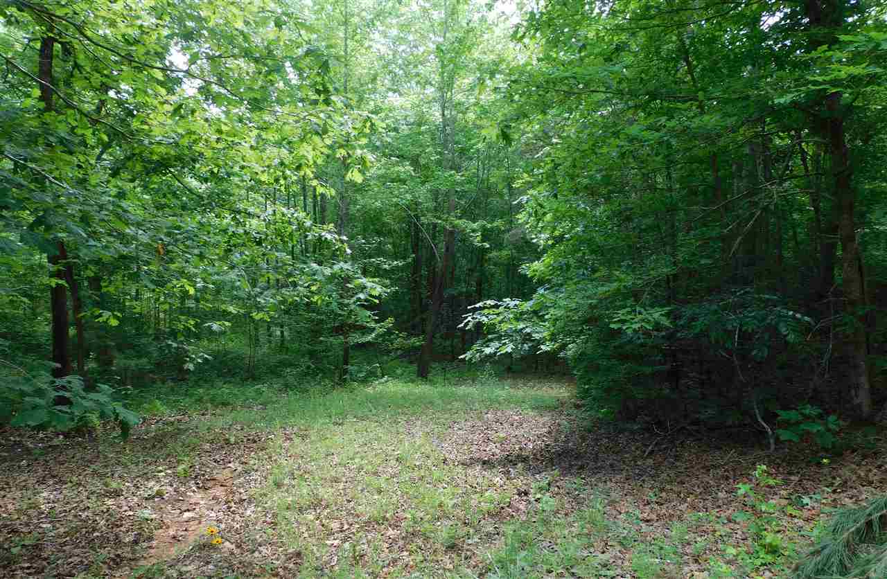 5417 Purdy Road Selmer, TN 38375 - Photo 11 of 16 Gallery Image 11