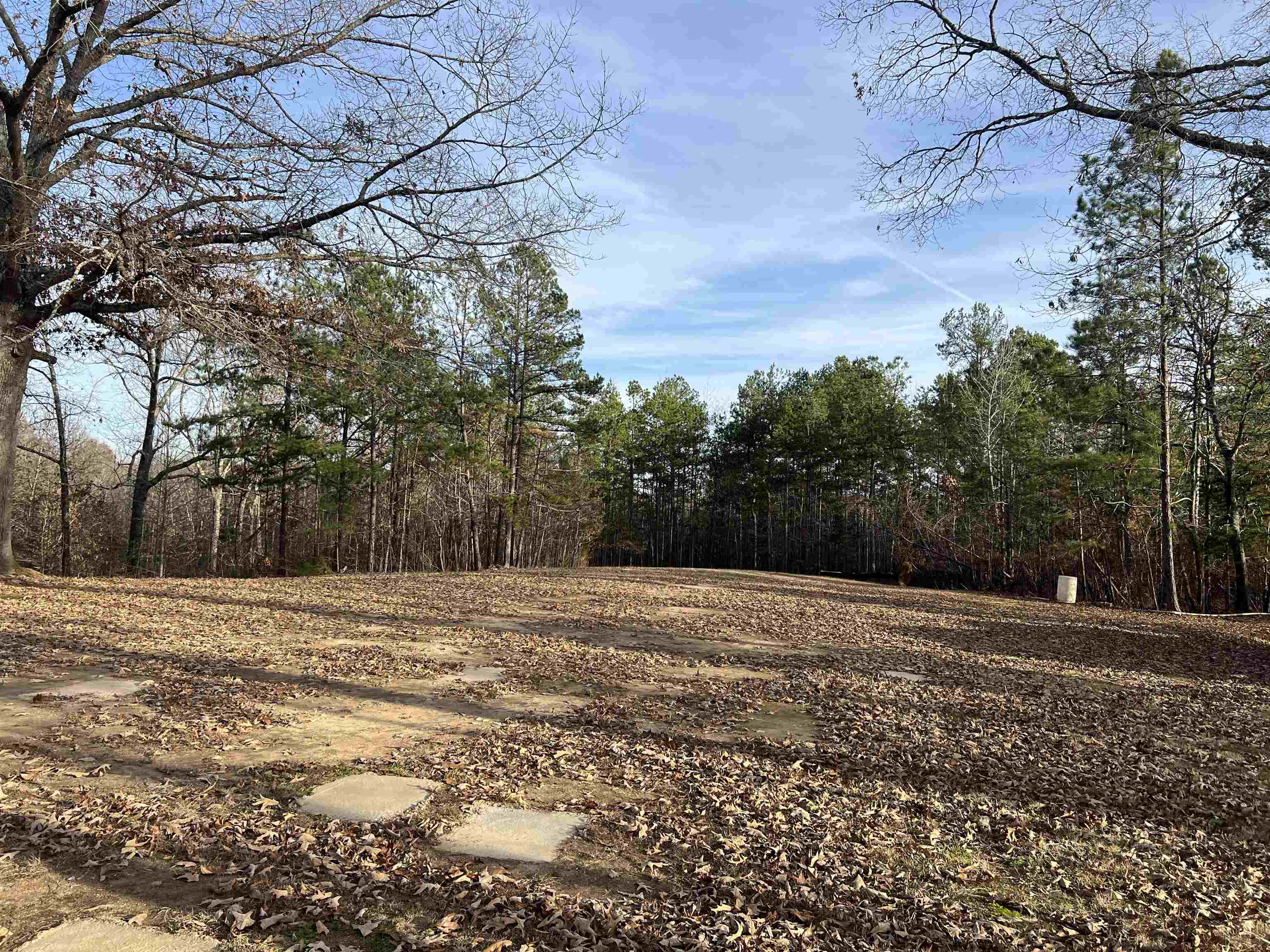 5417 Purdy Road Selmer, TN 38375 - Photo 13 of 16 Gallery Image 13