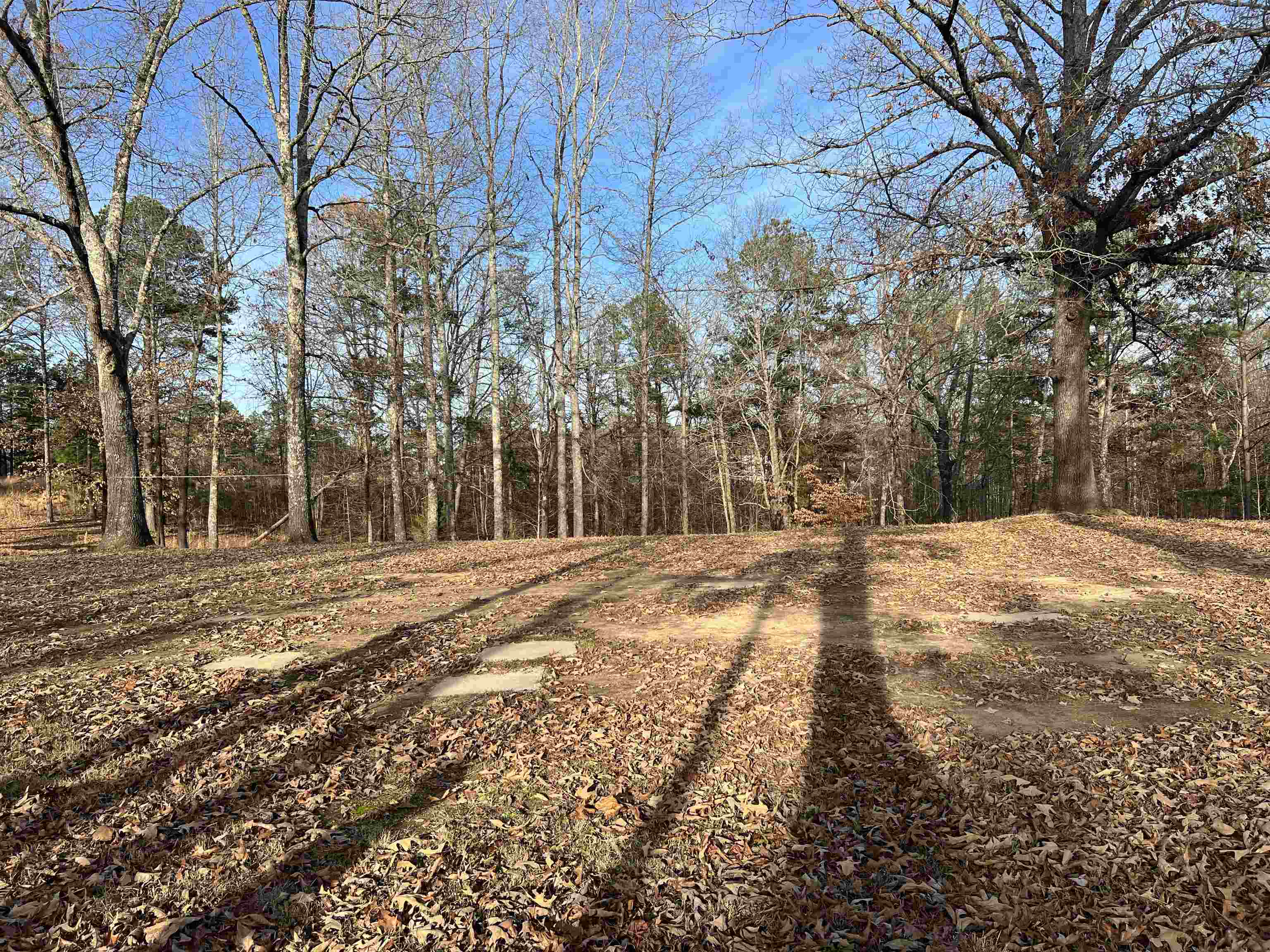 5417 Purdy Road Selmer, TN 38375 - Photo 16 of 16 Gallery Image 16