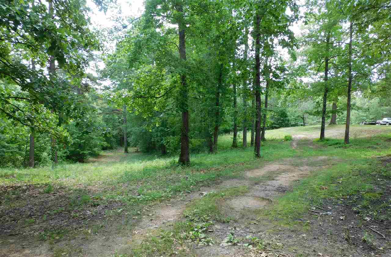 5417 Purdy Road Selmer, TN 38375 - Photo 9 of 16 Gallery Image 9