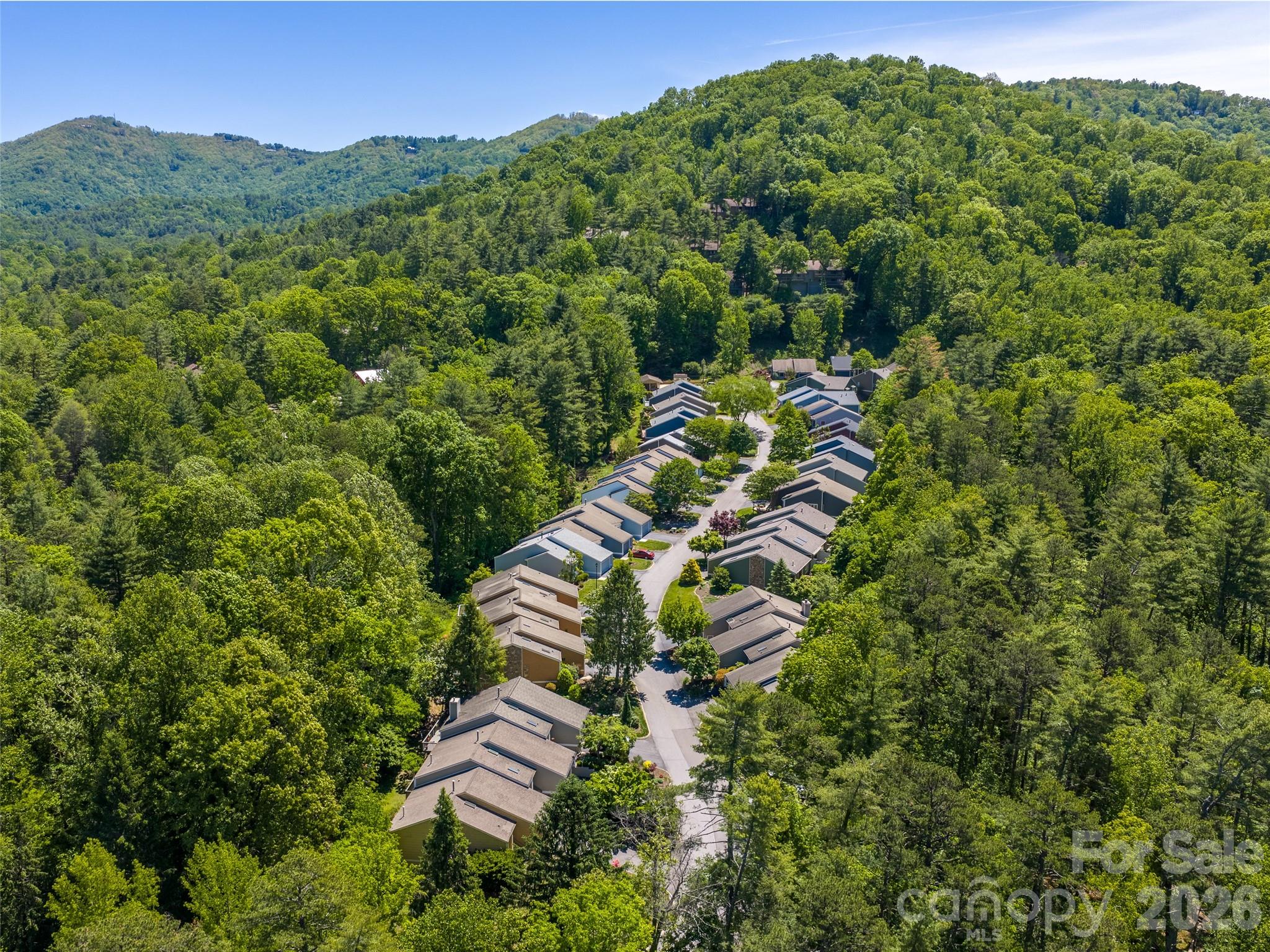 101 Beaver Ridge Road Asheville, NC 28804 - Photo 8 of 48