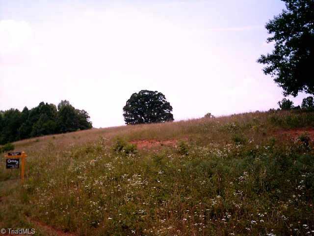 2 Indian Grove Church Road Mount Airy, NC 27030 - Photo 2 of 3 Other. View A