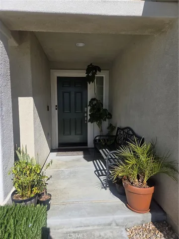 a potted plant sitting in front of a house
