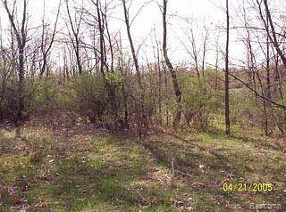 B2 North Hughes Road Howell, MI 48843 - Photo 1 of 1 Land Parcel
