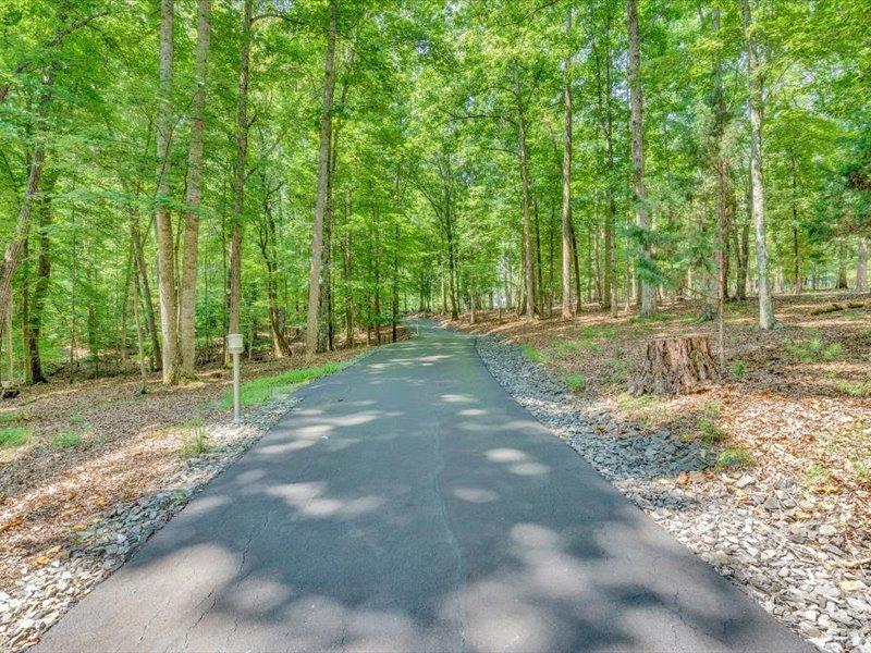 121 Spring Drive Huddleston, VA 24104 - Photo 65 of 70 a view of a tree in the middle of a yard