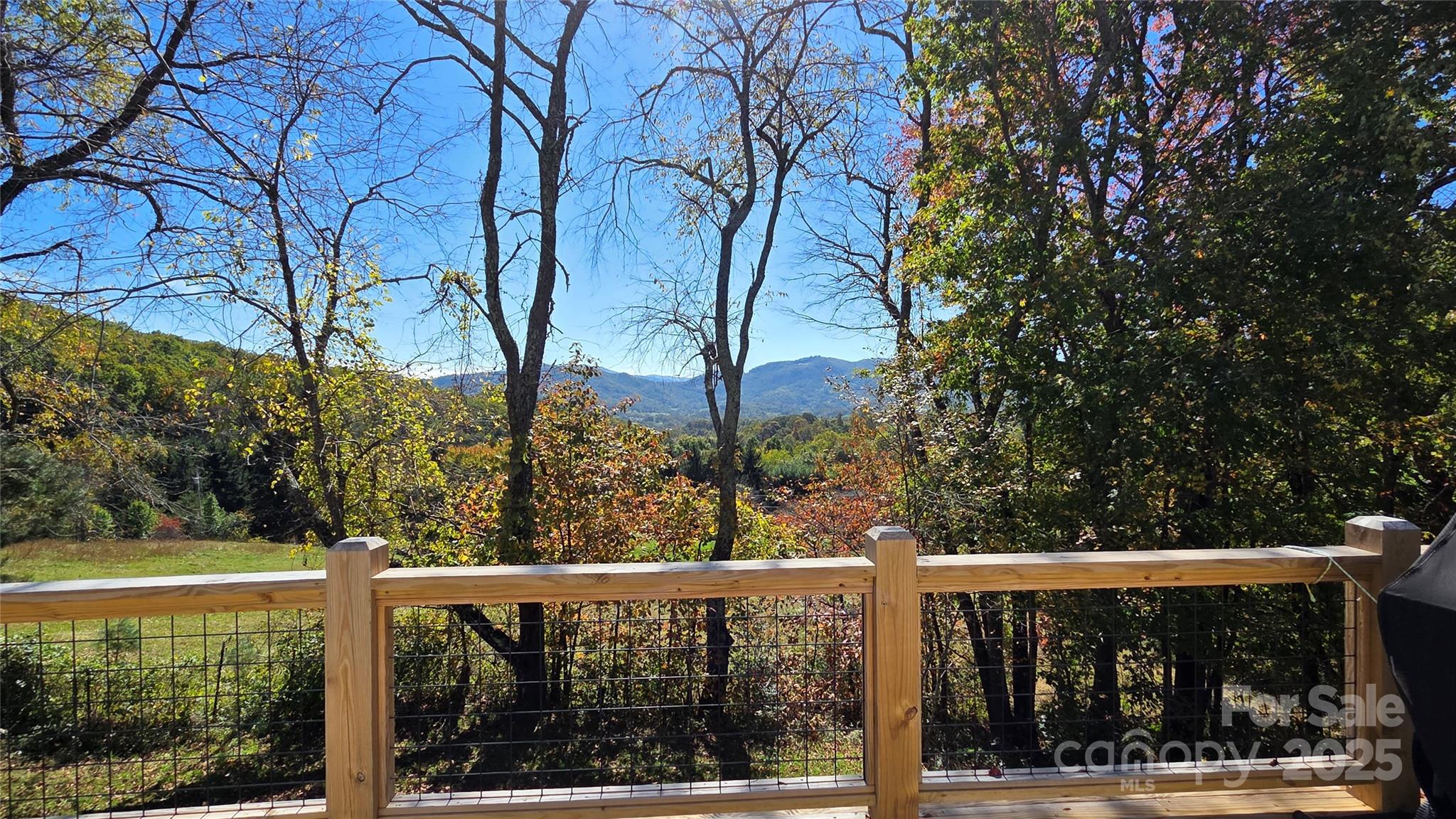 68 Garden Ridge Clyde, NC 28721 - Photo 2 of 16 a view of trees and street view