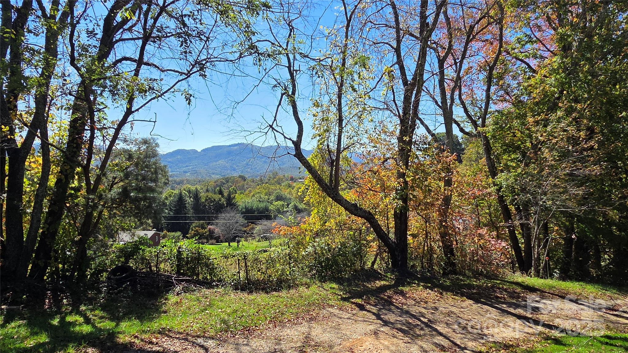 68 Garden Ridge Clyde, NC 28721 - Photo 3 of 16 a view of a yard