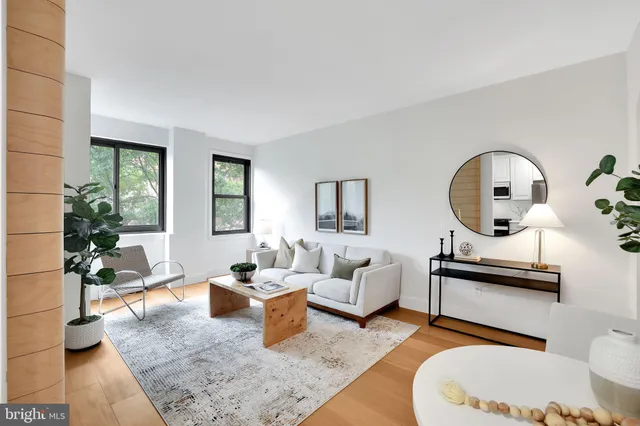 a living room with furniture a rug and a potted plant