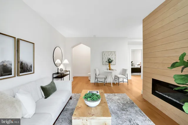 a living room with furniture a fireplace and a potted plant
