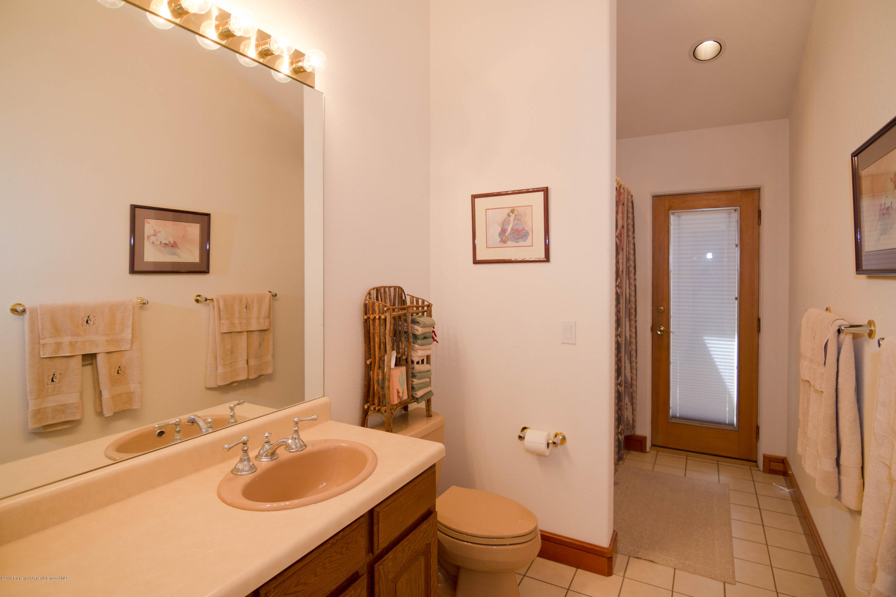 75 Raccoon Court El Jebel, CO 81623 - Photo 19 of 23 Bathroom 1