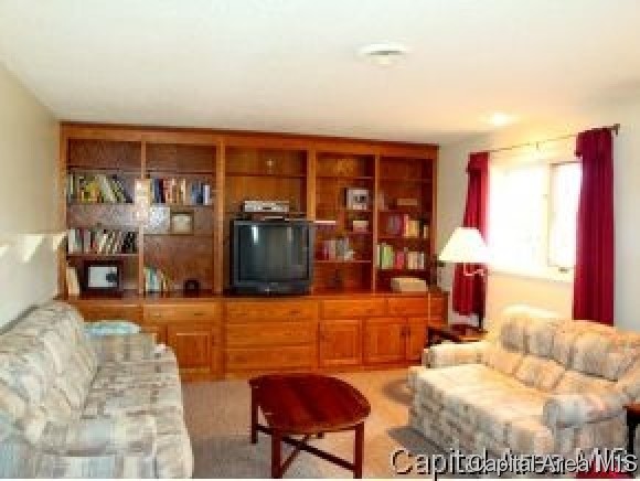 96 Drawbridge Road Springfield, IL 62704 - Photo 21 of 21