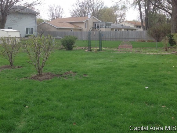 96 Drawbridge Road Springfield, IL 62704 - Photo 8 of 21