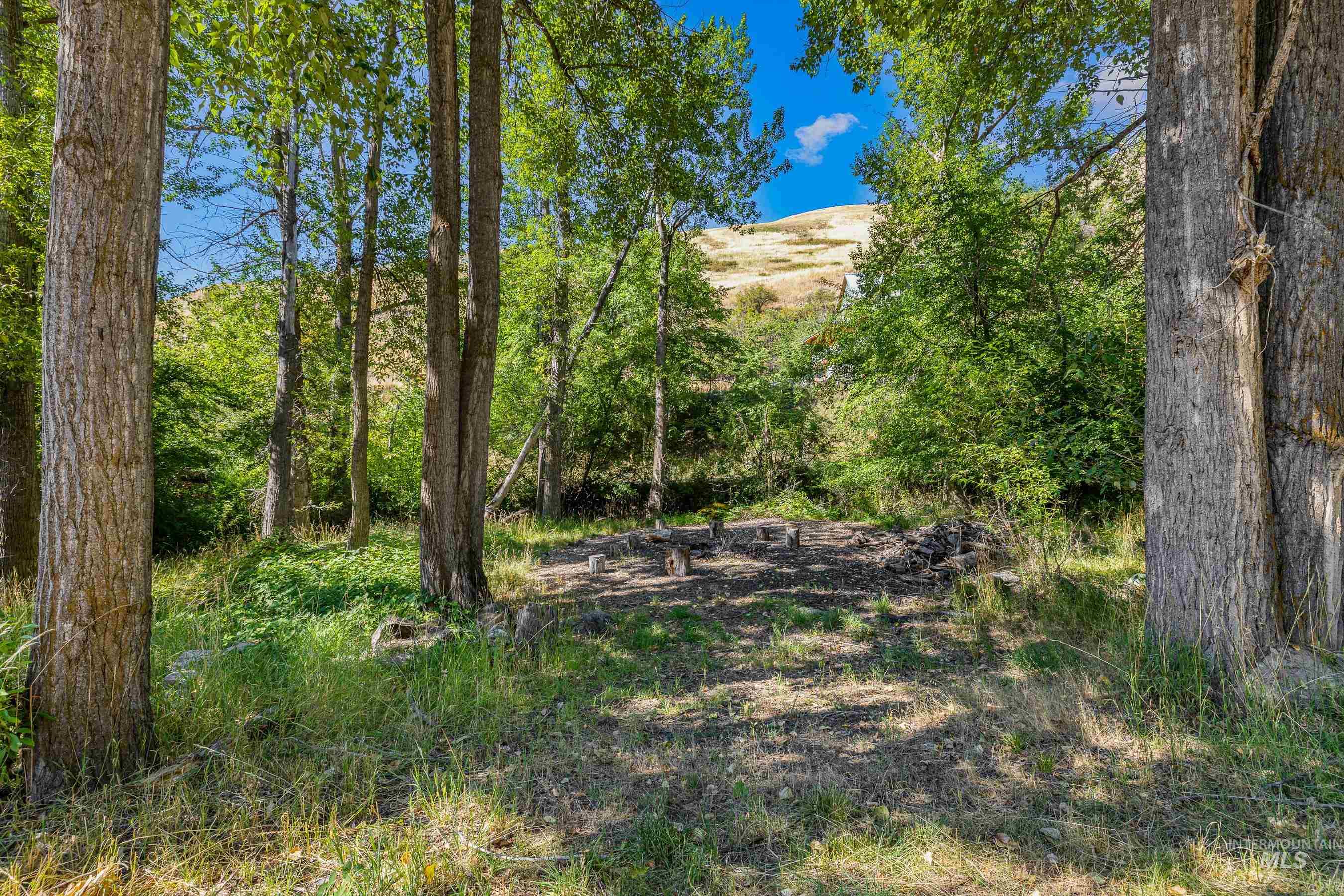 View of undeveloped land