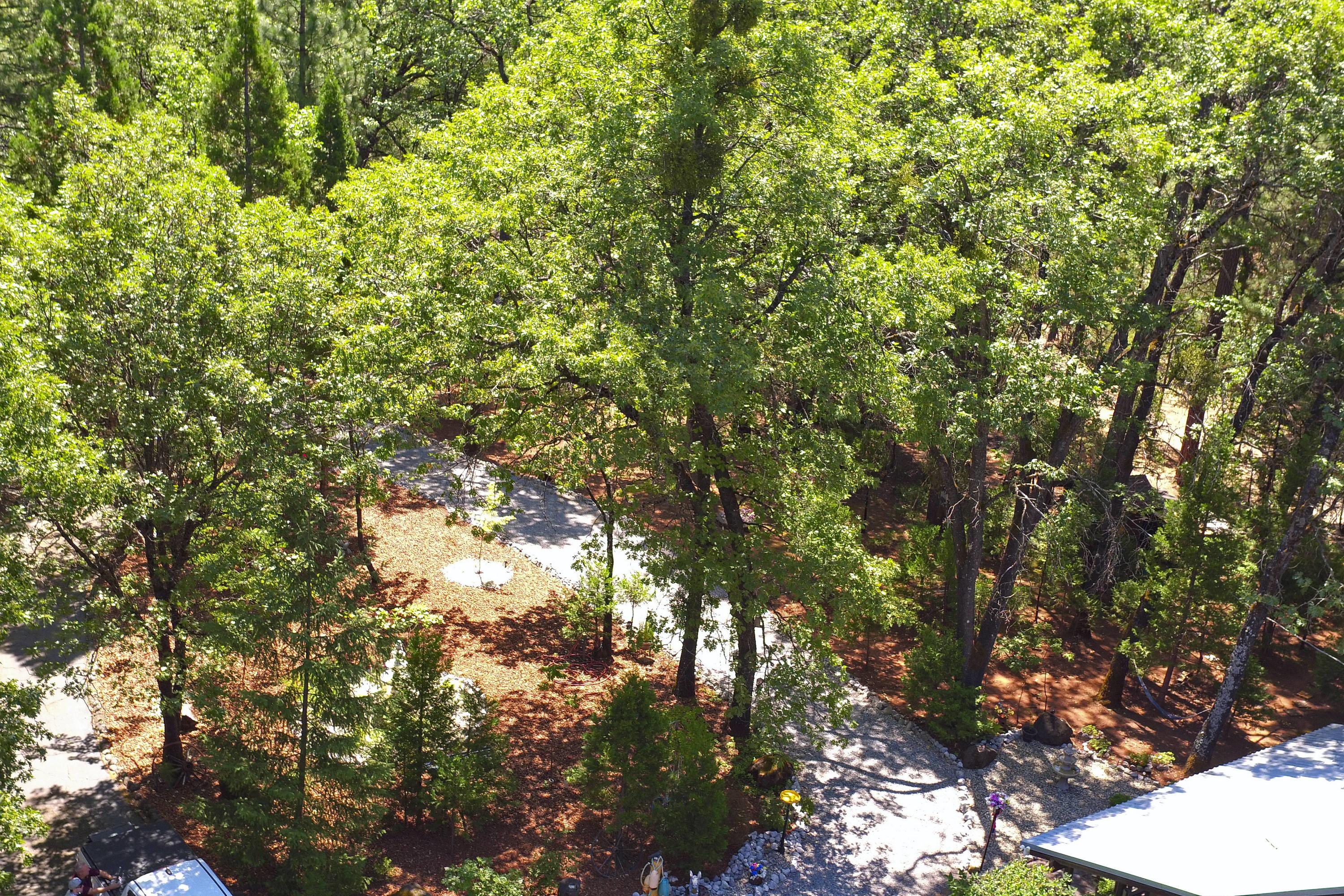 30454 Whitmore Road Whitmore, CA 96096 - Photo 21 of 27 DJI_0531 copy