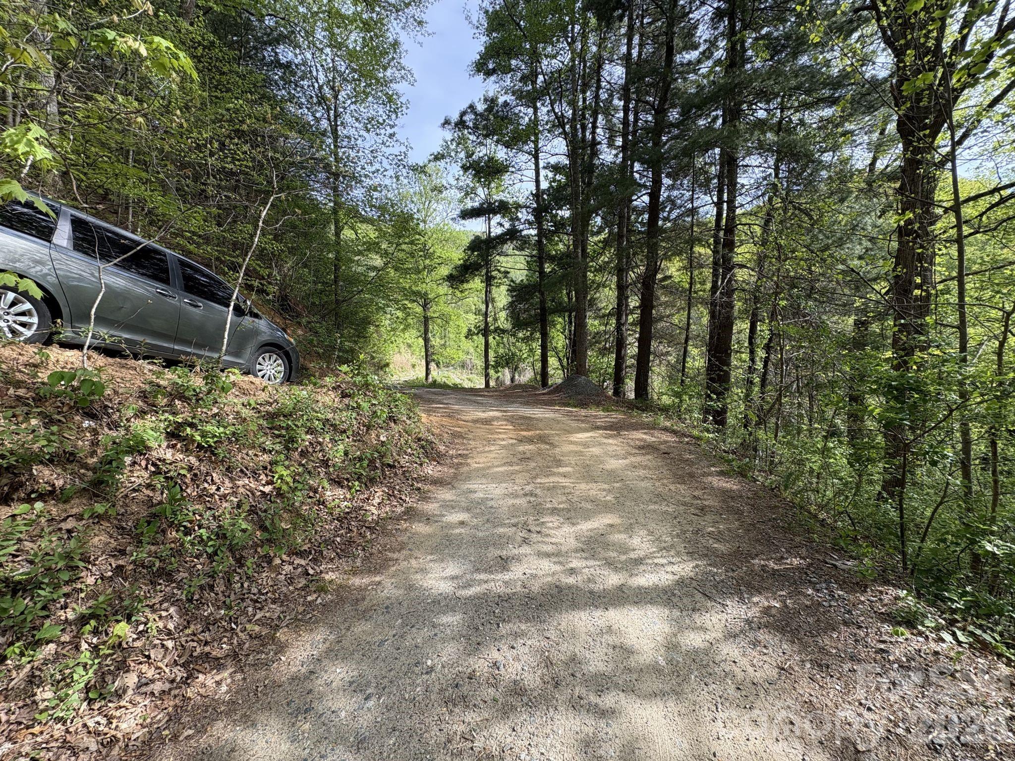 999999 Harwood Road, Unit 2 Barnardsville, NC 28709 - Photo 2 of 20 a view of backyard with green space