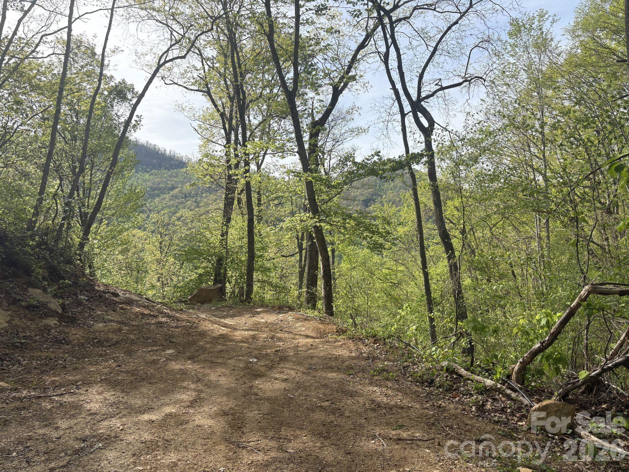 999999 Harwood Road, Unit 2 Barnardsville, NC 28709 - Photo 8 of 20 a view of outdoor space and trees