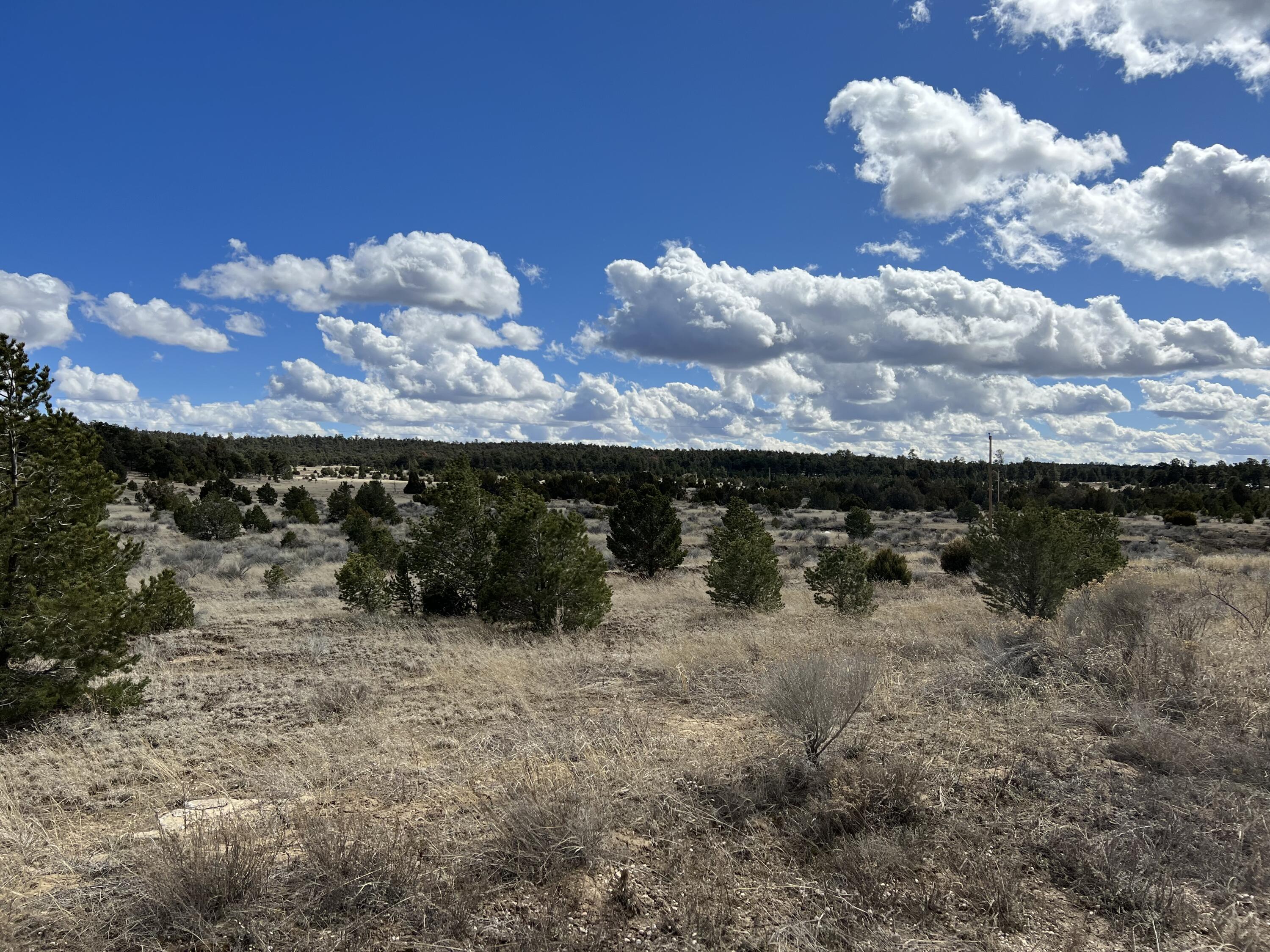 Lot 14 Candy Kitchen Road Ramah, NM 87357 - Photo 19 of 41 Gallery Image 19