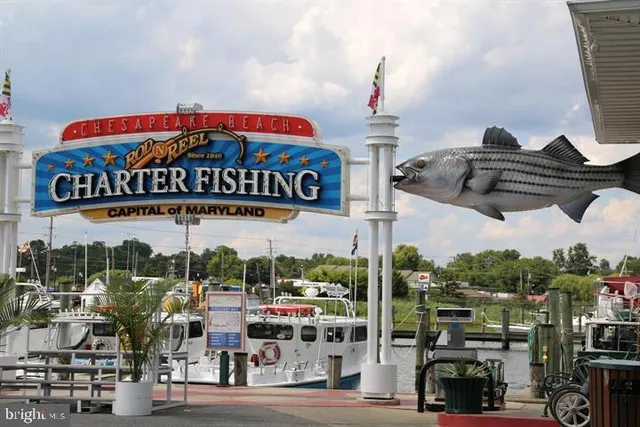 a view of street sign