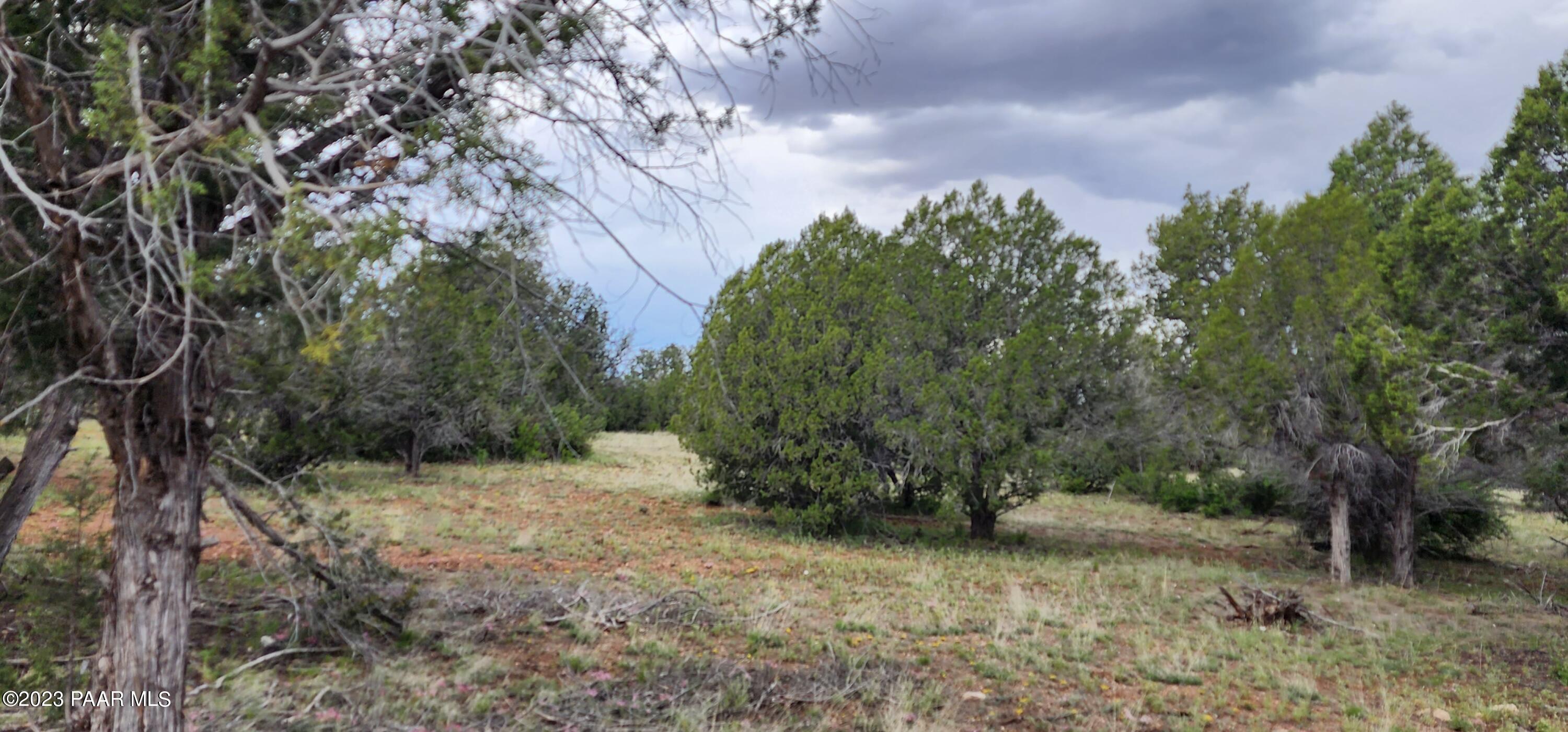 97 C Rattlesnake Ash Fork Ash Fork, AZ 86320 - Photo 11 of 24 20230516_131257