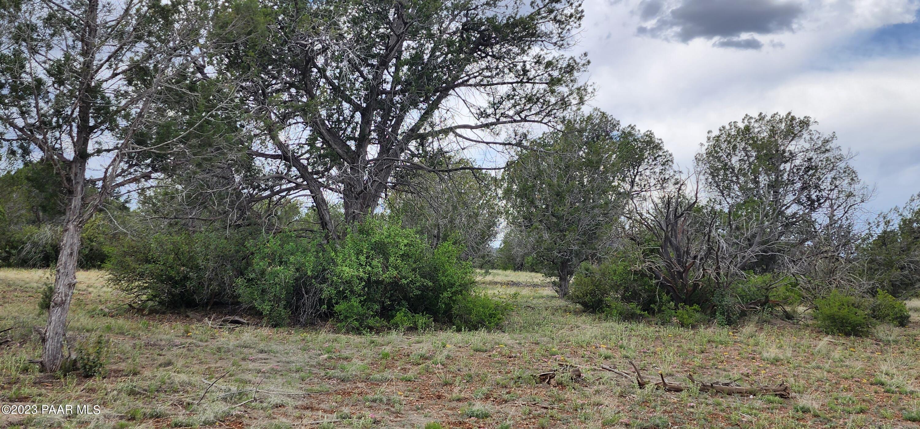 97 C Rattlesnake Ash Fork Ash Fork, AZ 86320 - Photo 9 of 24 20230516_131318