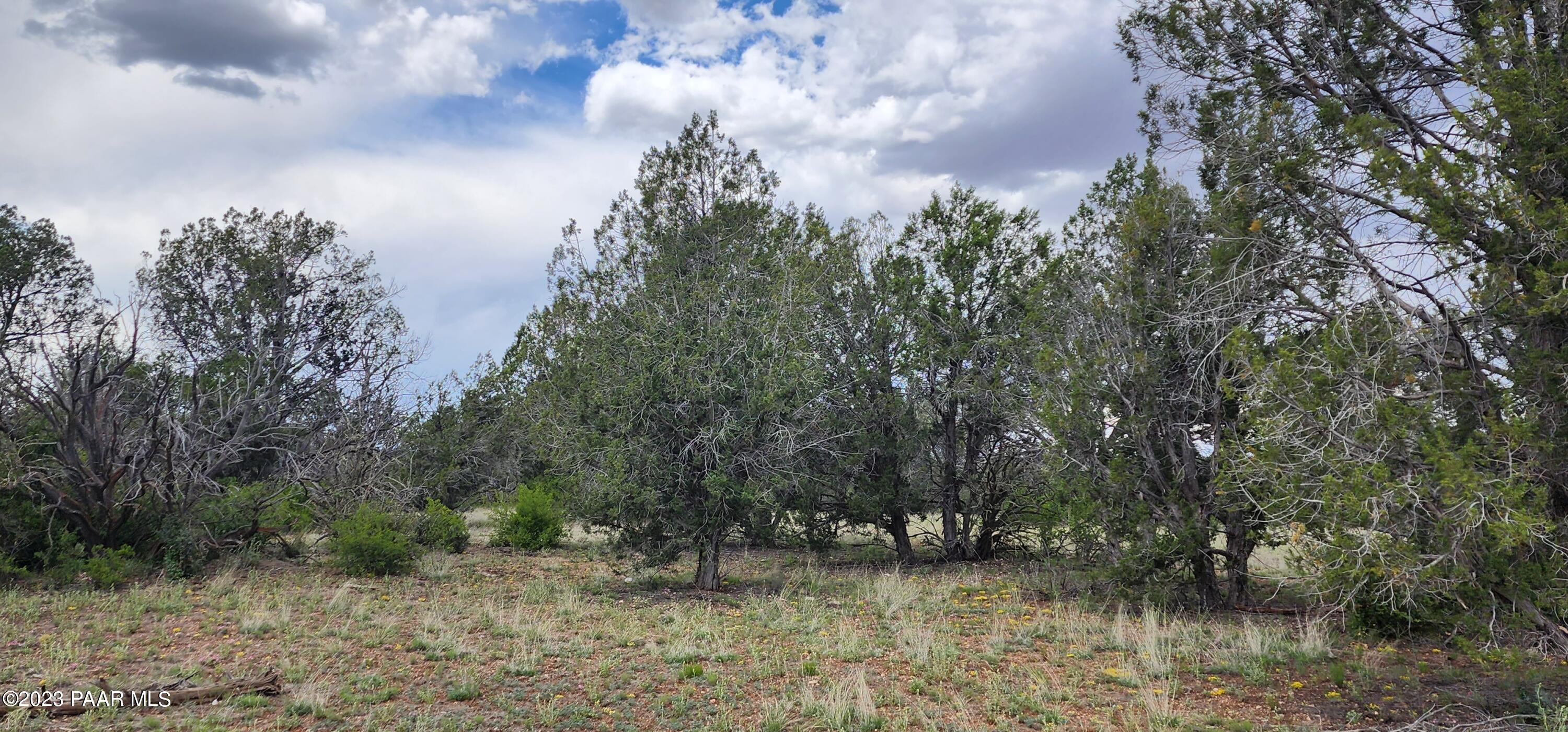 97 C Rattlesnake Ash Fork Ash Fork, AZ 86320 - Photo 10 of 24 20230516_131322