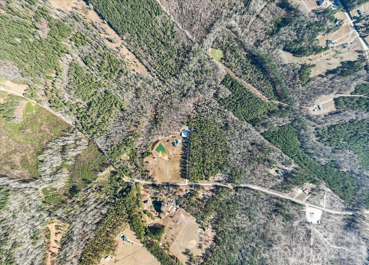 1935 Oakland Church Road Chesterfield, SC 29709 - Photo 6 of 48 a view of a forest with a tree