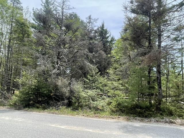 0 Reach Road Deer Isle, ME 04627 - Photo 3 of 8 IMG_7416