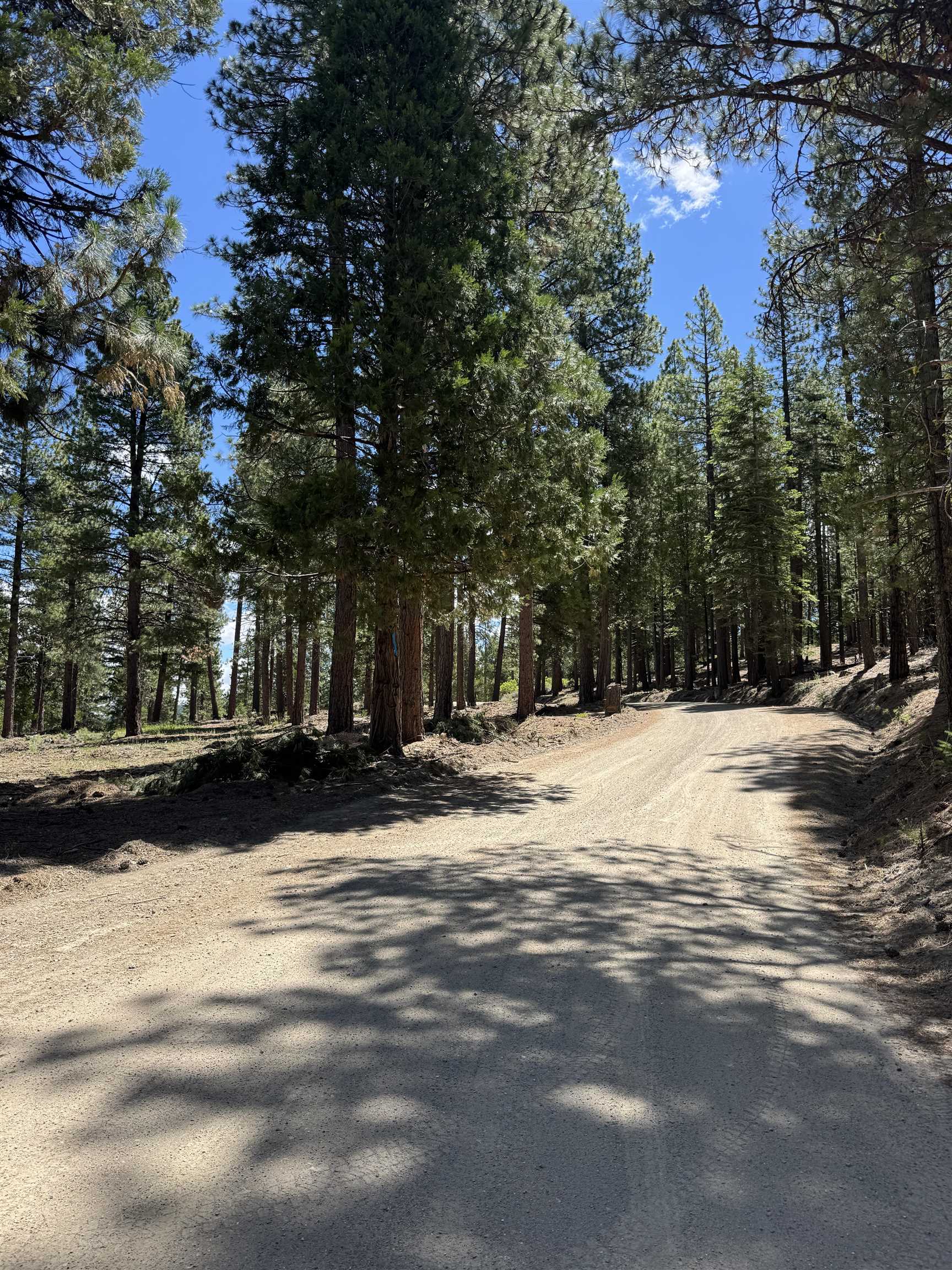 2245 Xanadu Road Clio, CA 96106 - Photo 4 of 43