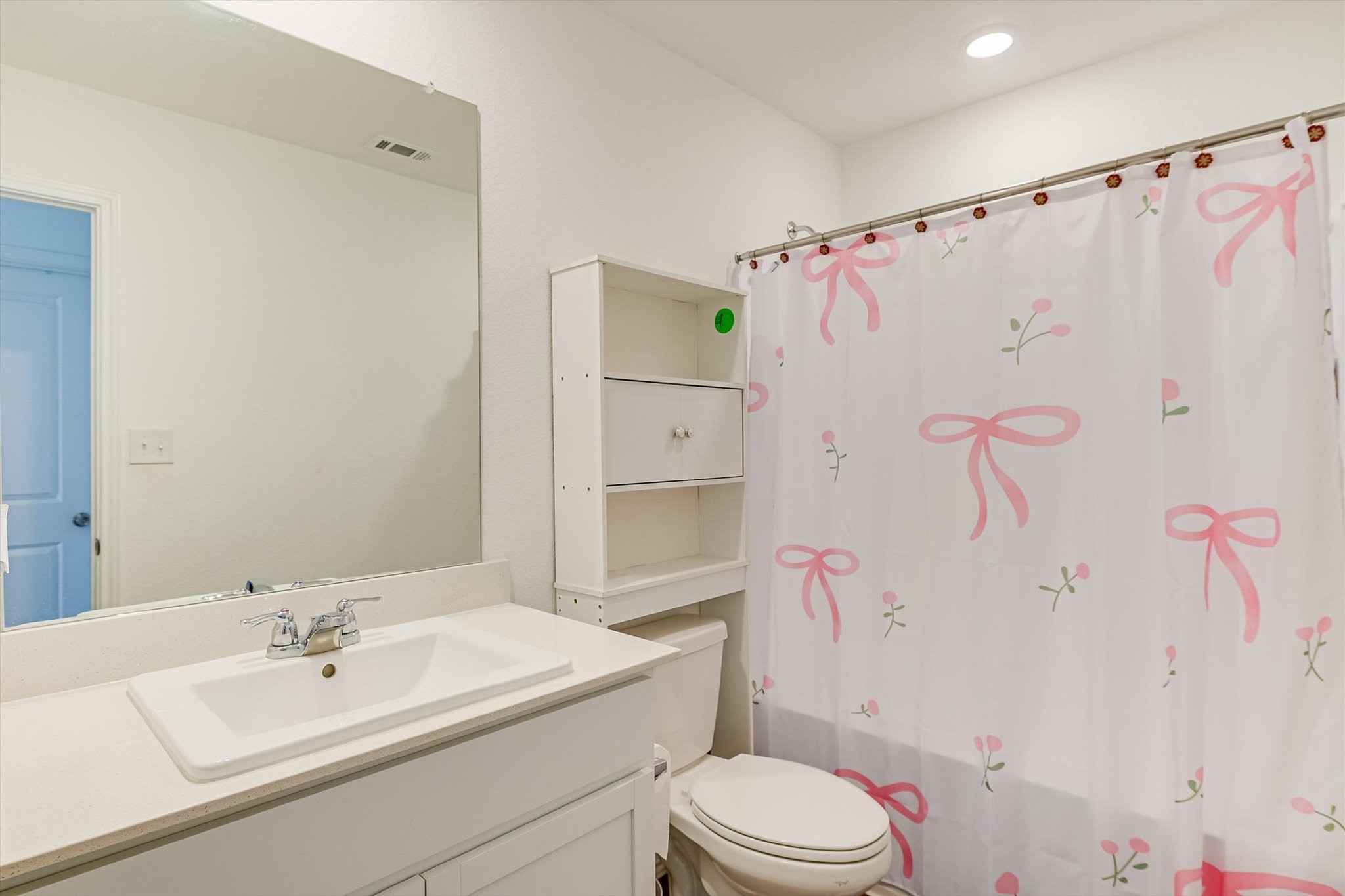 2223 Cumulus Court Lockhart, TX 78644 - Photo 15 of 20 a bathroom with a sink a toilet and shower curtain