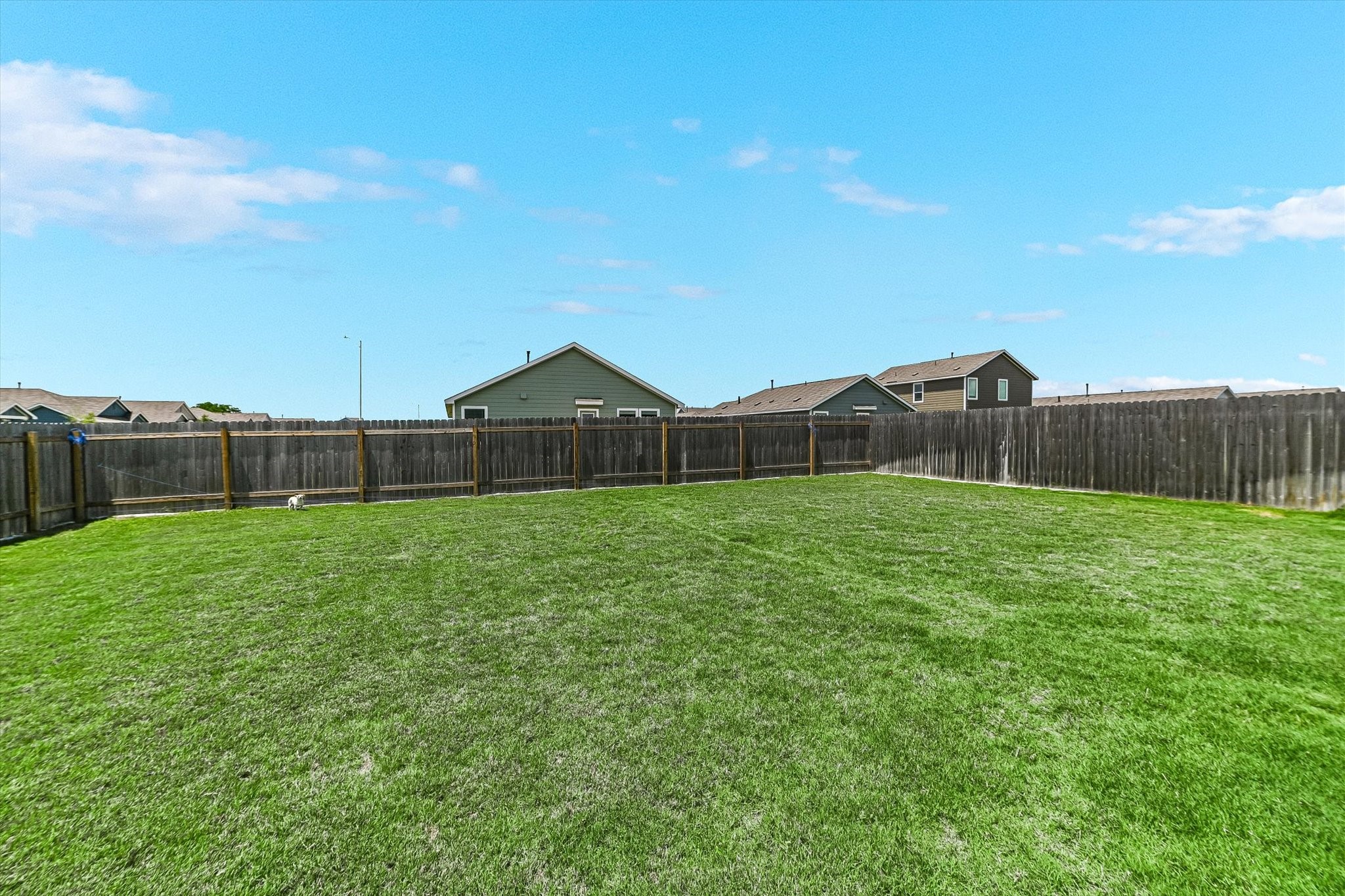 2223 Cumulus Court Lockhart, TX 78644 - Photo 20 of 20 a front view of a house with garden