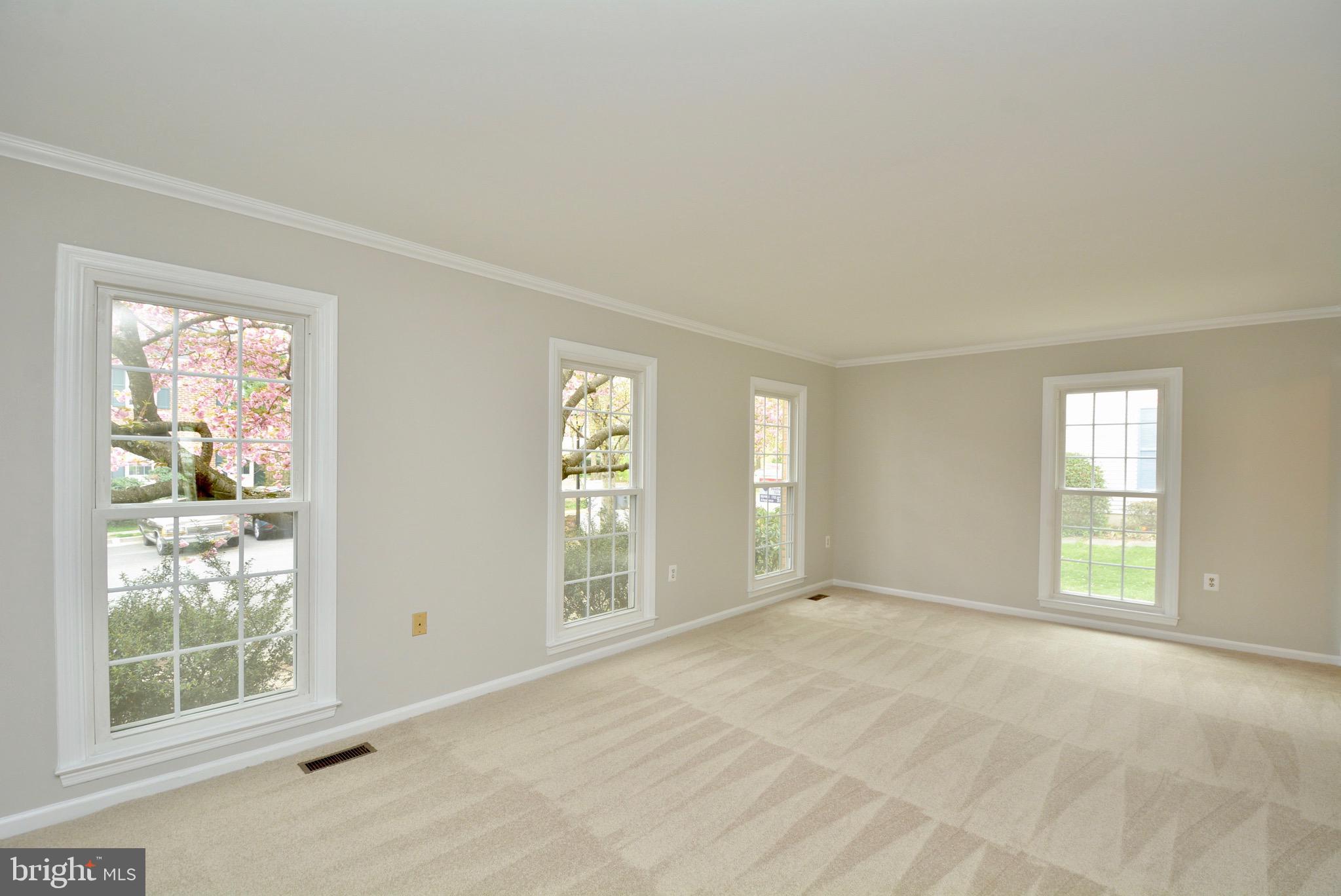 5662 Ridge View Drive Alexandria, VA 22310 - Photo 16 of 43 Large Main Level Living room with new carpet