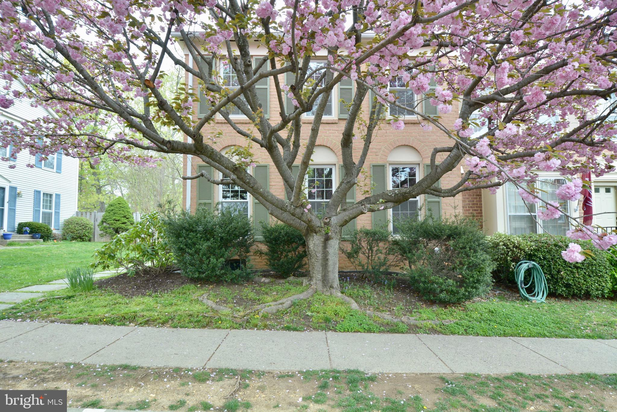 5662 Ridge View Drive Alexandria, VA 22310 - Photo 3 of 43 Brick Front End Unit!