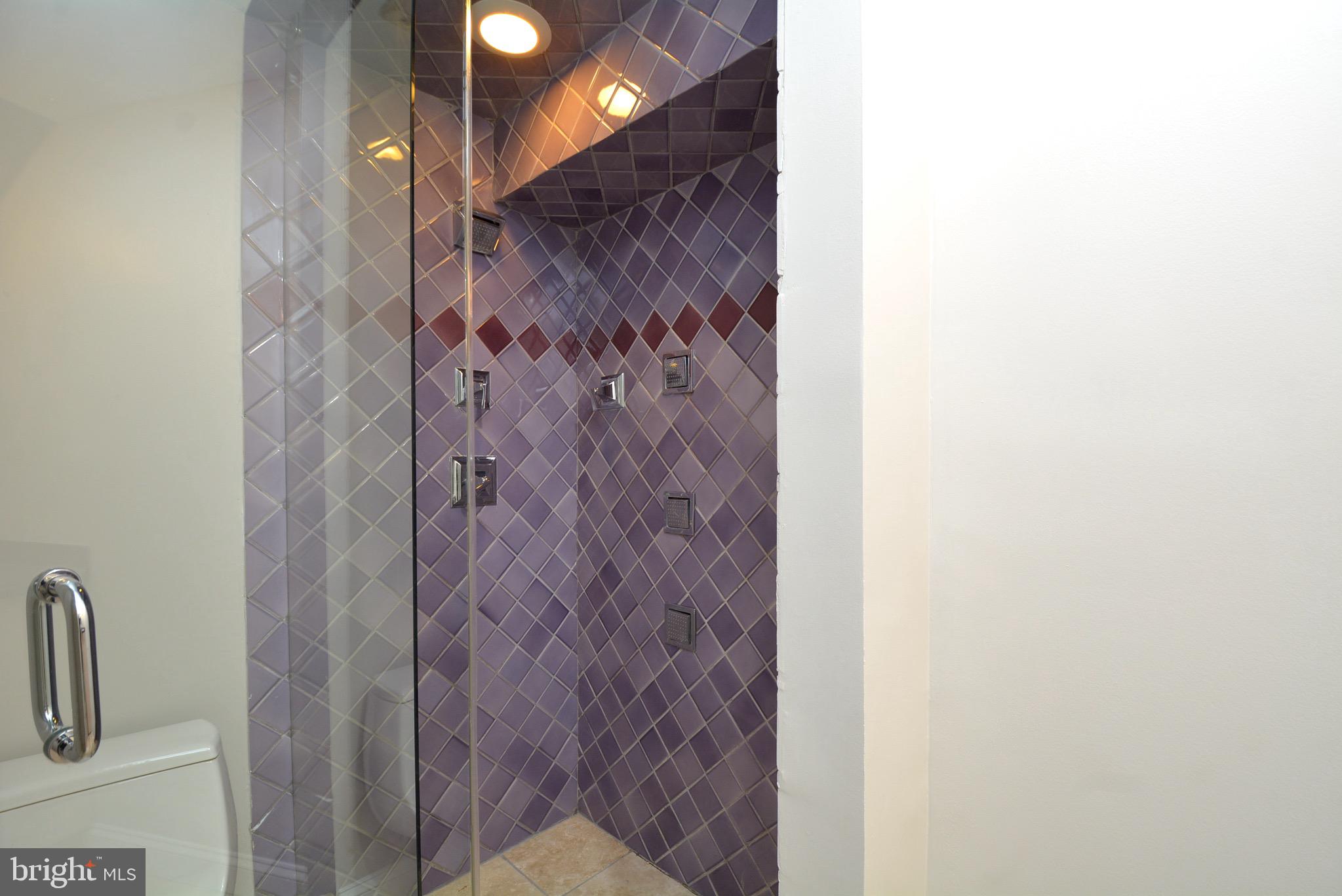 5662 Ridge View Drive Alexandria, VA 22310 - Photo 39 of 43 3rd bathroom lower level for private spa time:)