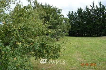 36 Ostervold Road Cathlamet, WA 98612 - Photo 19 of 25 Gallery Image 19