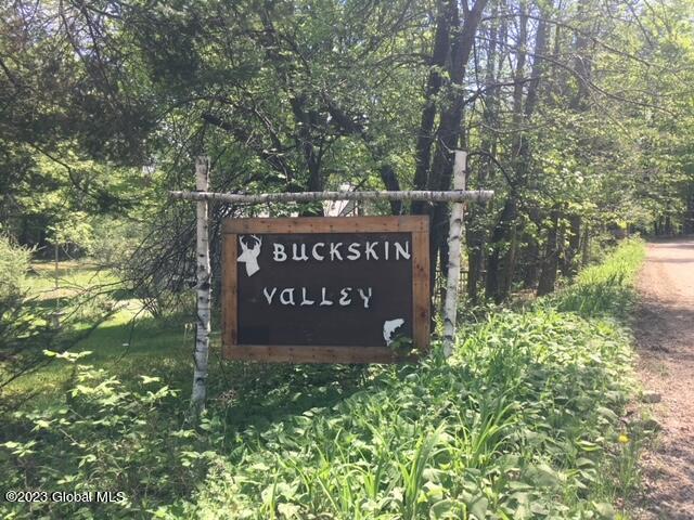 35 Buckskin Valley Road Johnsburg, NY 12843 - Photo 4 of 40 IMG_4680