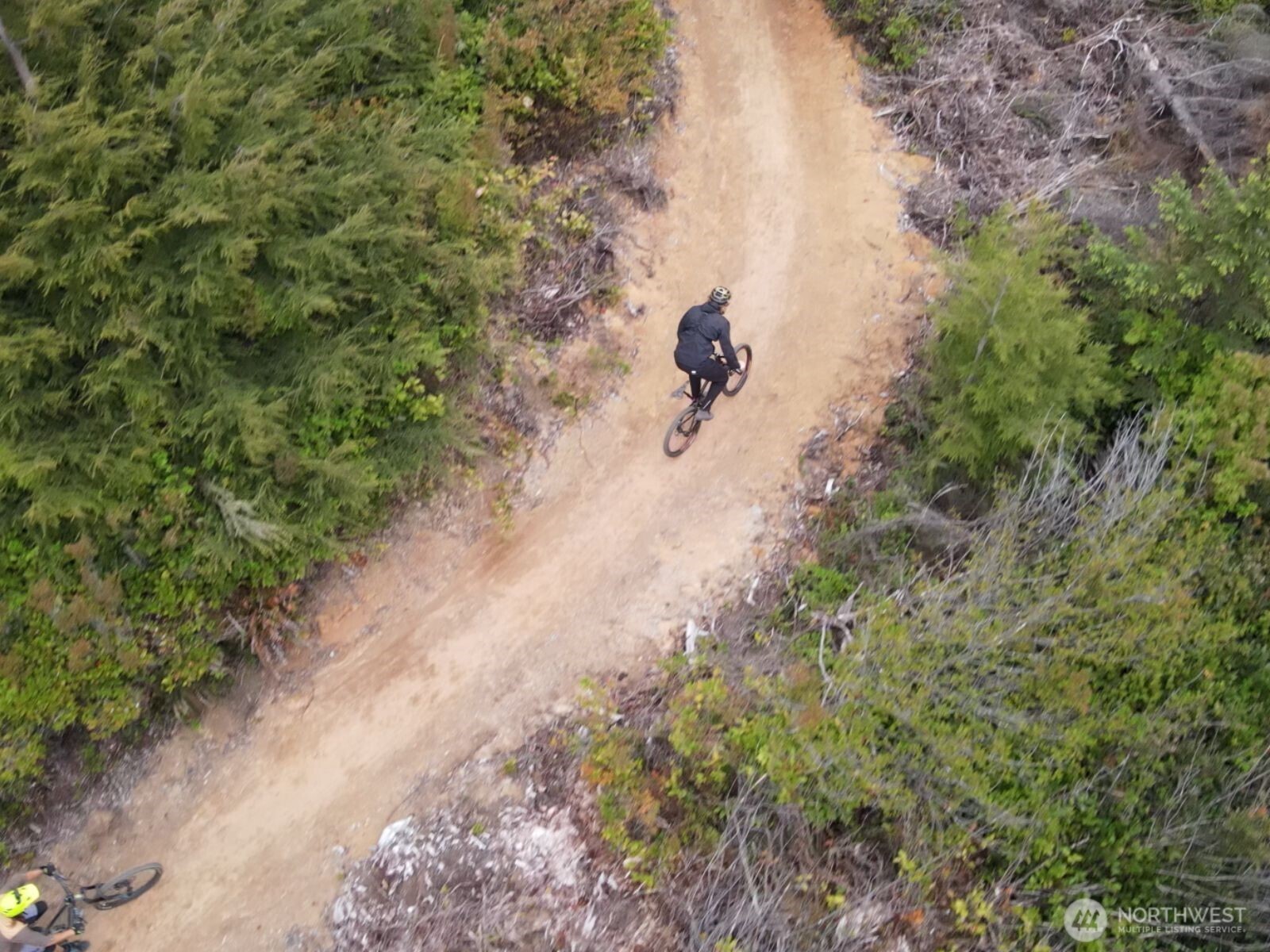 22 Bungalow Loop Pacific Beach, WA 98571 - Photo 25 of 34 a view of a forest with a tree