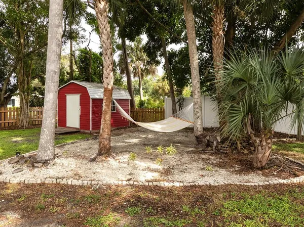 a view of a trees in the backyard