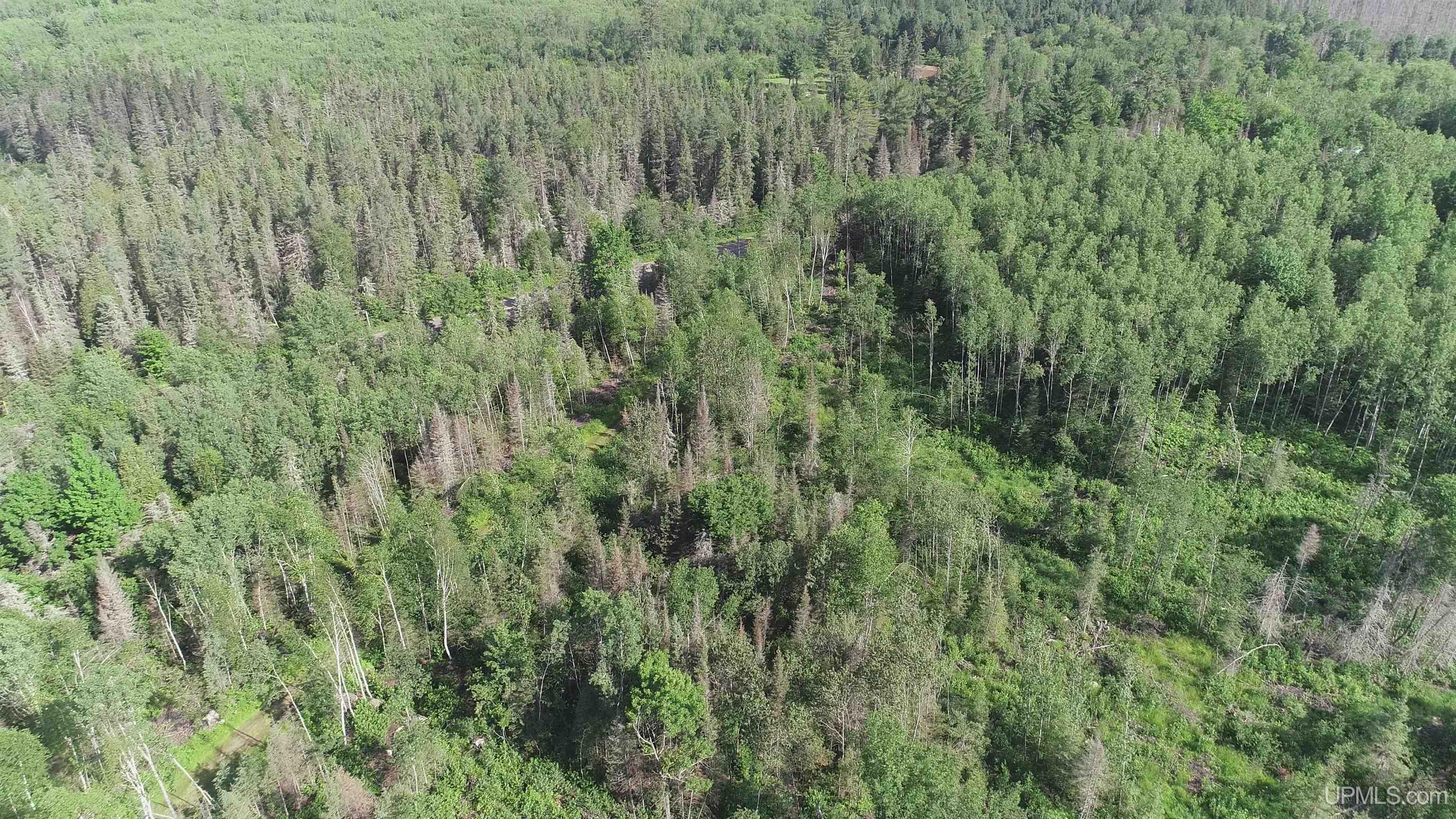 601 County Road 601 Road Republic, MI 49879 - Photo 58 of 60