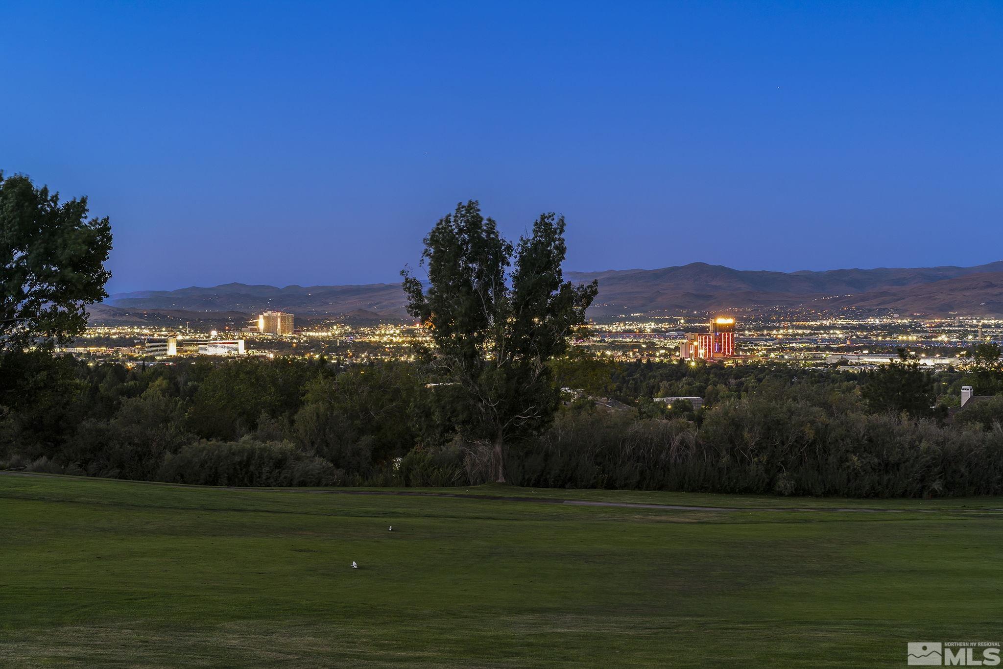 2553 Granite Springs Road Reno, NV 89519 - Photo 1 of 38 a view of a grassy field with an ocean