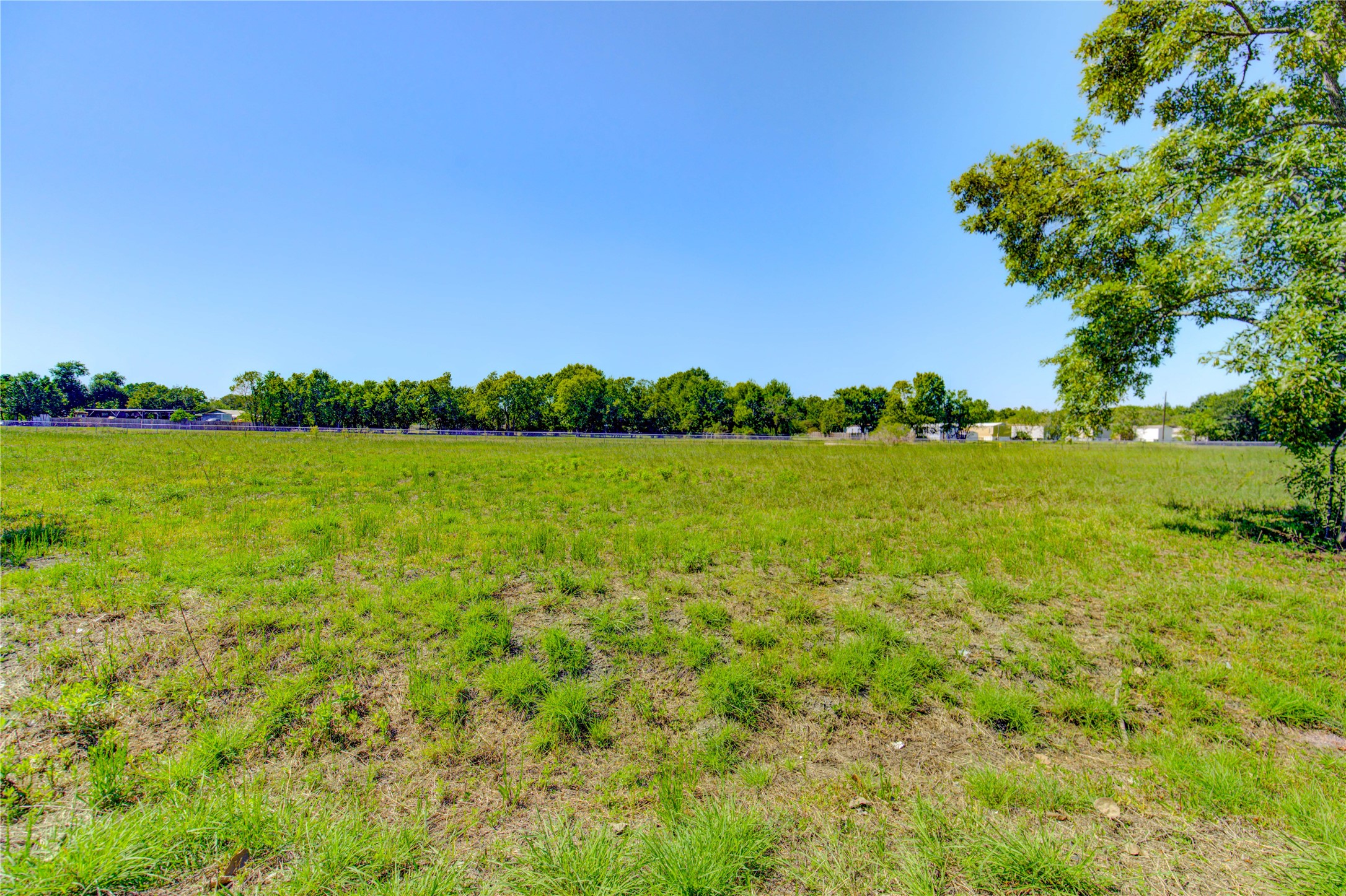 0 Hatfield Road Pearland, TX 77584 - Photo 5 of 15 a view of a garden with a tree