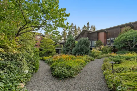 a view of a garden with plants