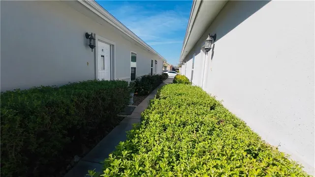 a view of a backyard with plants