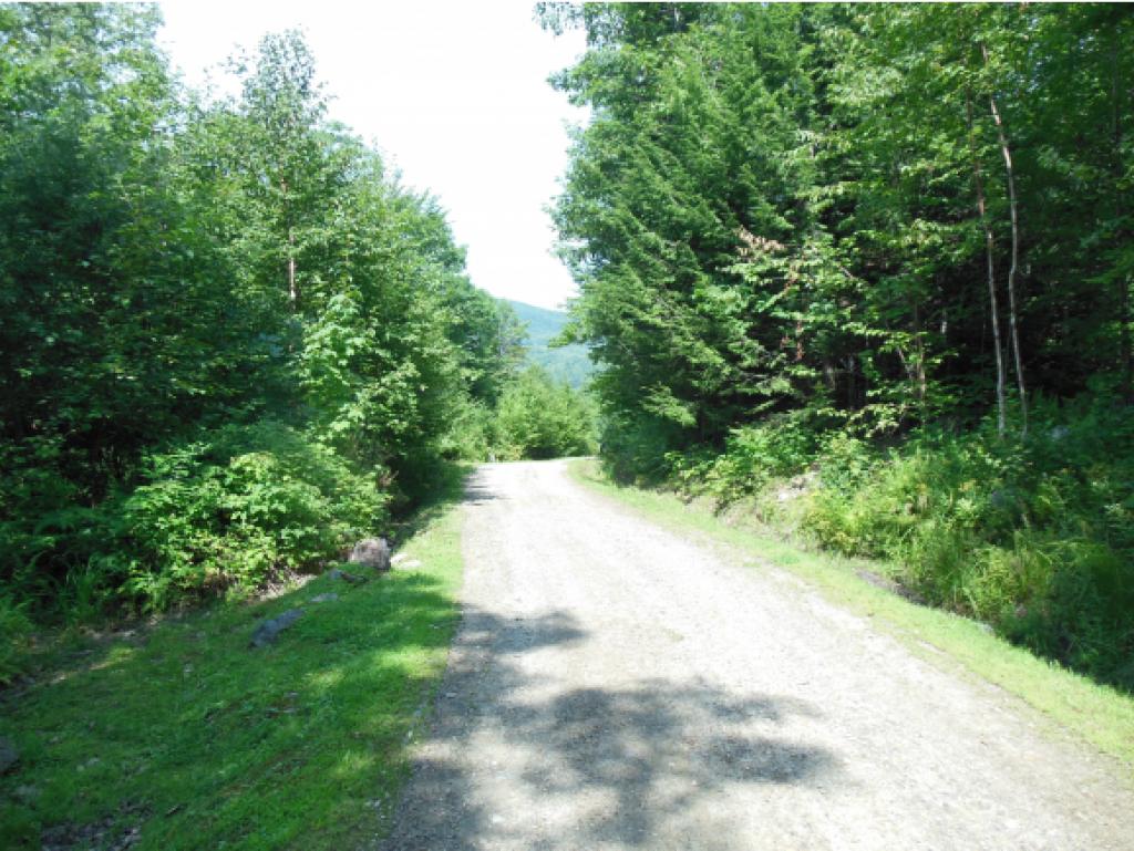 Rogers Road Hebron, NH 03241 - Photo 2 of 5