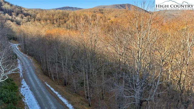 a view of a dry yard with wooden fence