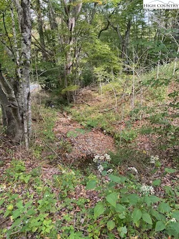 a view of a yard with a tree